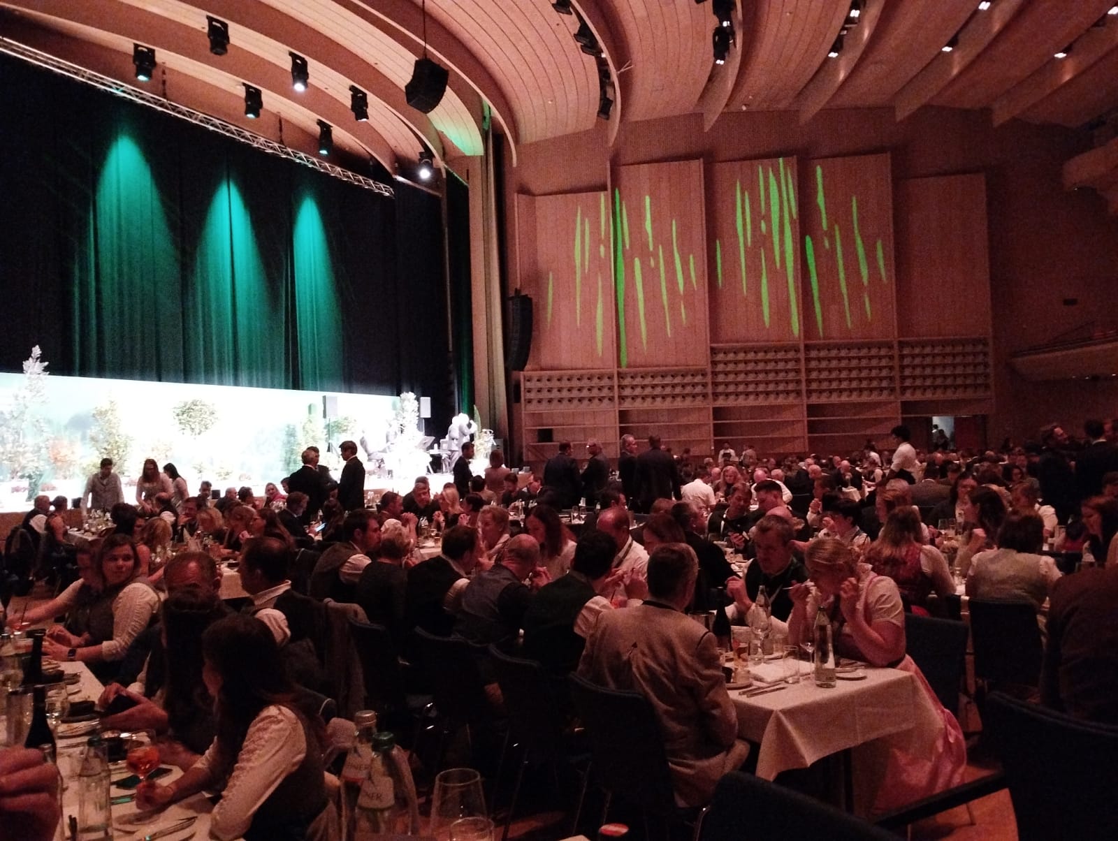 WhatsApp Image 2025-11-15 at 10.56.46